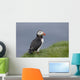 Puffin Fratercula Arctica Wall Decal