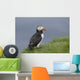 Puffin Fratercula Arctica Wall Decal