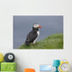 Puffin Fratercula Arctica Wall Decal