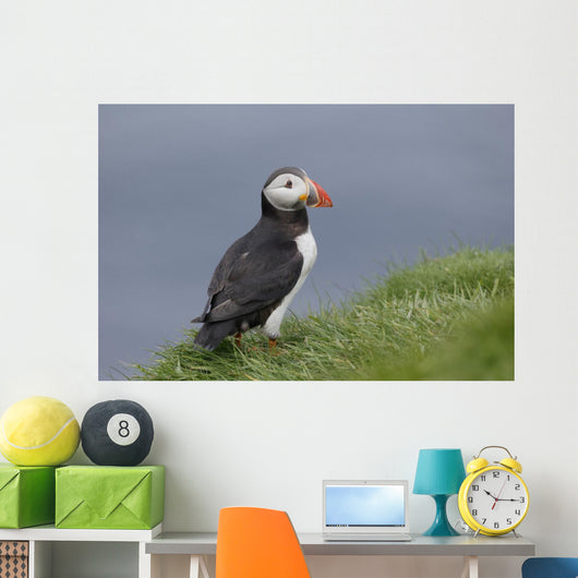 Puffin Fratercula Arctica Wall Decal