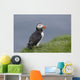Puffin Fratercula Arctica Wall Decal