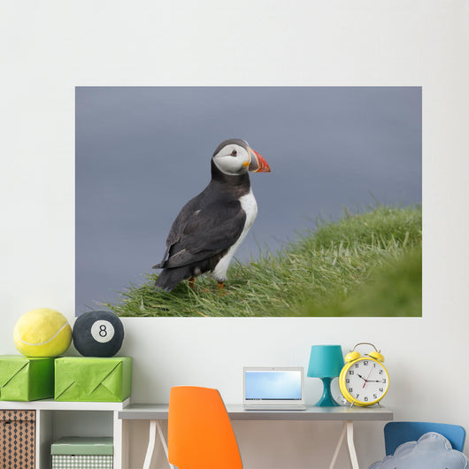 Puffin Fratercula Arctica Wall Decal