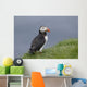 Puffin Fratercula Arctica Wall Decal