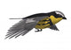 Songbird Warbler Wall Decal