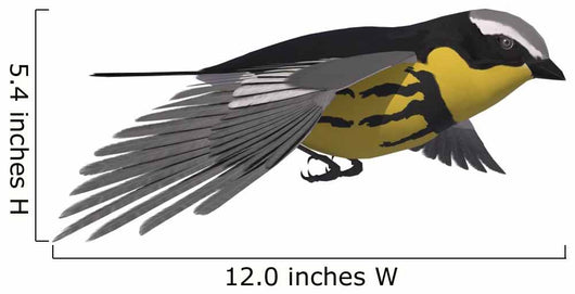 Songbird Warbler Wall Decal