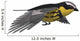 Songbird Warbler Wall Decal