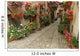 Old Paved Street with