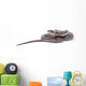 snake Wall Decal