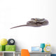 snake Wall Decal