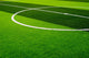 Soccer Field Grass Wall Decal