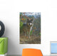Gray Wolf Wall Mural