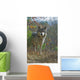 Gray Wolf Wall Mural
