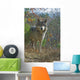 Gray Wolf Wall Mural