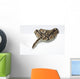 Ball Python in the Studio Wall Decal
