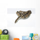 Ball Python in the Studio Wall Decal