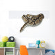 Ball Python in the Studio Wall Decal