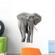 African Elephant Wall Decal