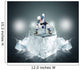 Hockey Player with Ice