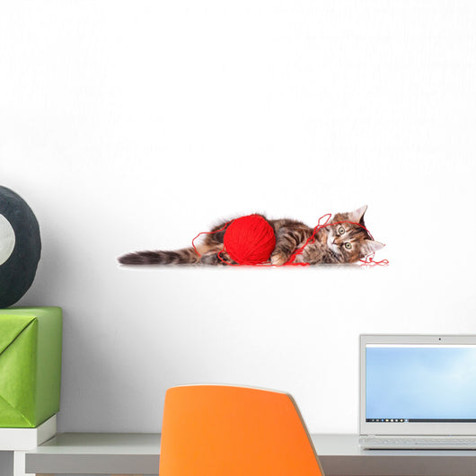 Kitten with Red Clew
