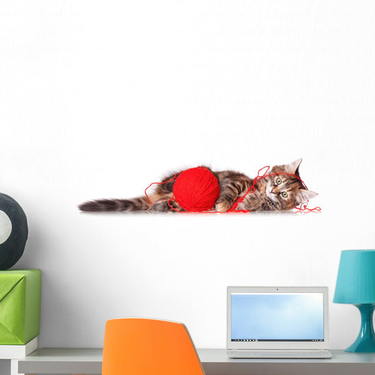 Kitten with Red Clew