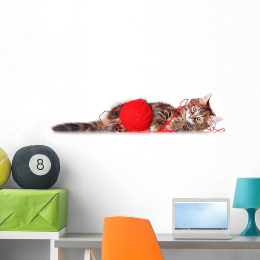 Kitten with Red Clew
