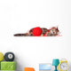 Kitten with Red Clew