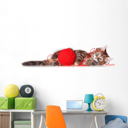 Kitten with Red Clew