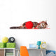 Kitten with Red Clew