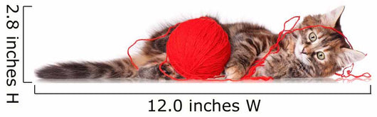 Kitten with Red Clew