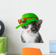 Kitten With Green Cap Wall Decal