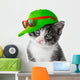 Kitten With Green Cap Wall Decal