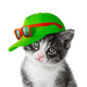 Kitten With Green Cap Wall Decal
