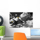 Lockheed P-38 Lightning Wall Mural