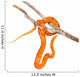 Creamsicle Corn Snake (elaphe Guttata Guttata) on a Dry Branch. Wall Decal
