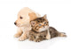 Golden Retriever Puppy Dog Wall Decal