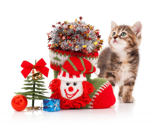 Happy Holidays kitten Wall Decal