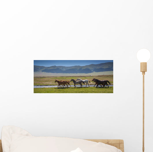Horses Summer Pasture Wall Decal