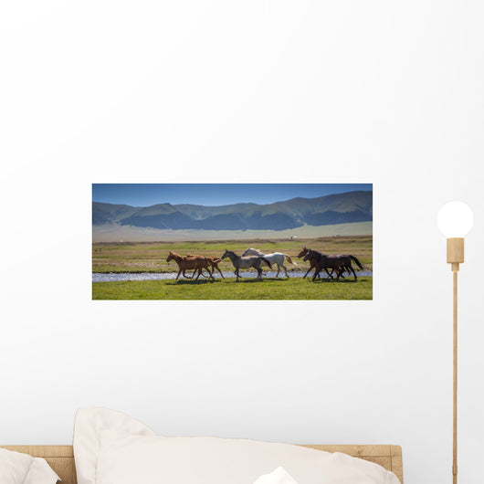 Horses Summer Pasture Wall Decal