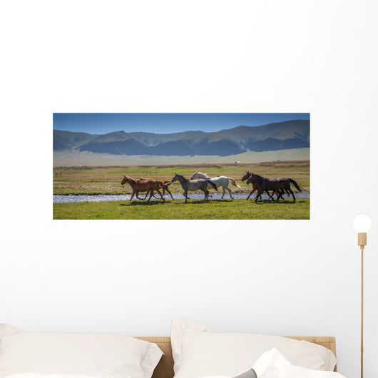 Horses Summer Pasture Wall Decal