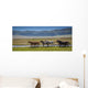 Horses Summer Pasture Wall Decal
