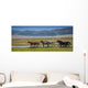 Horses Summer Pasture Wall Decal