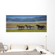 Horses Summer Pasture Wall Decal