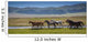 Horses Summer Pasture Wall Decal