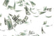 3d money falling Wall Mural
