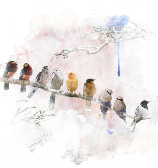 Watercolor Image Perching Birds Wall Decal