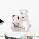 Bull Terrier Puppies Wall Decal