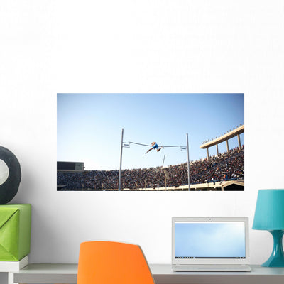 Pole Vault Wall Mural shown on a wall