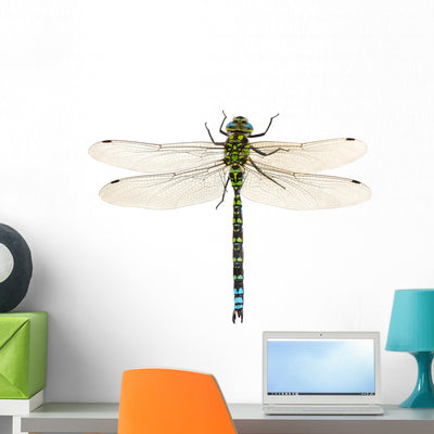 Dragonfly Wall Decal shown on a wall