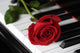 Rose Piano