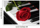 Rose Piano
